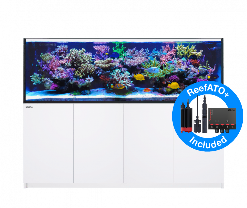 Red Sea Reefer 900 G2+ Deluxe Meerwasseraquarium Komplettset